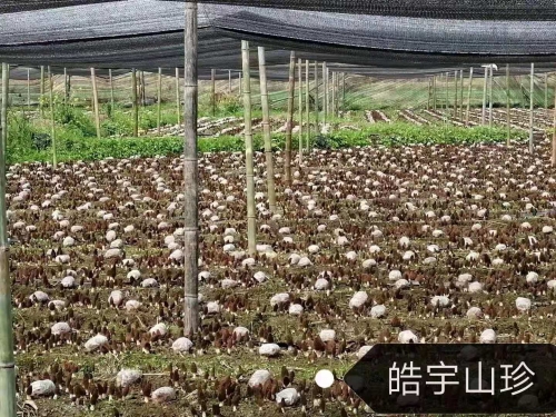 &#24320;&#20803;&#32593;&#31449;&#30331;&#24405;&#20837;&#21475;&#95;&#24320;&#20803;&#65288;&#20013;&#22269;&#65289;
